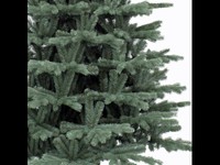 Triumph Tree Sherwood Spruce de Luxe Blue 185 thumbnail